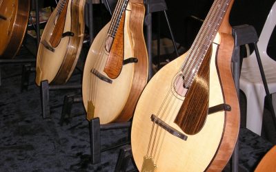 Peter Coombe Mandolins and Guitars